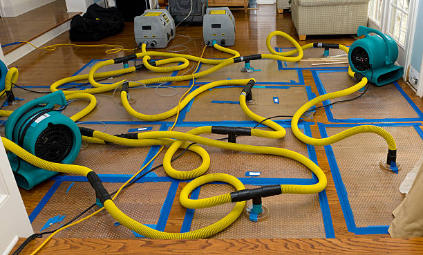 Professional Structural Drying And Dehumidification technician working in East Durham, NY